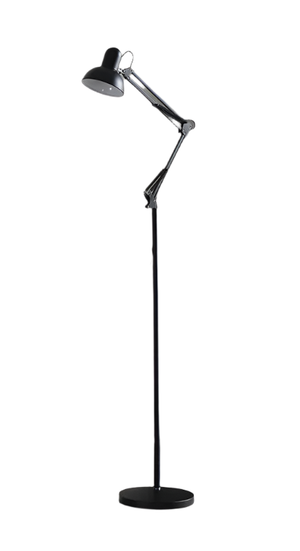 Adjustable Task Floor Lamp