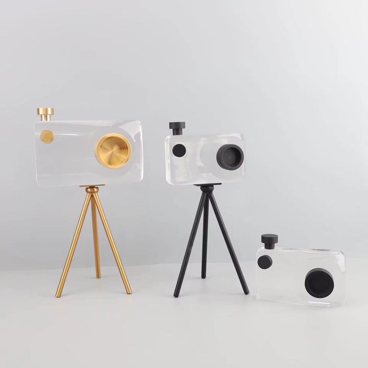 Crystal Camera Sculpture Set of 2