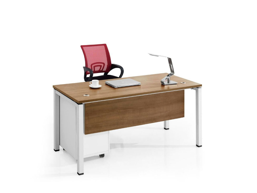 ProDesk - Executive Office Desk 120x60cm