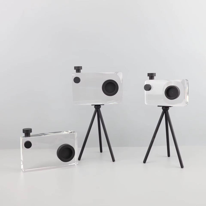 Crystal Camera Sculpture Set of 2
