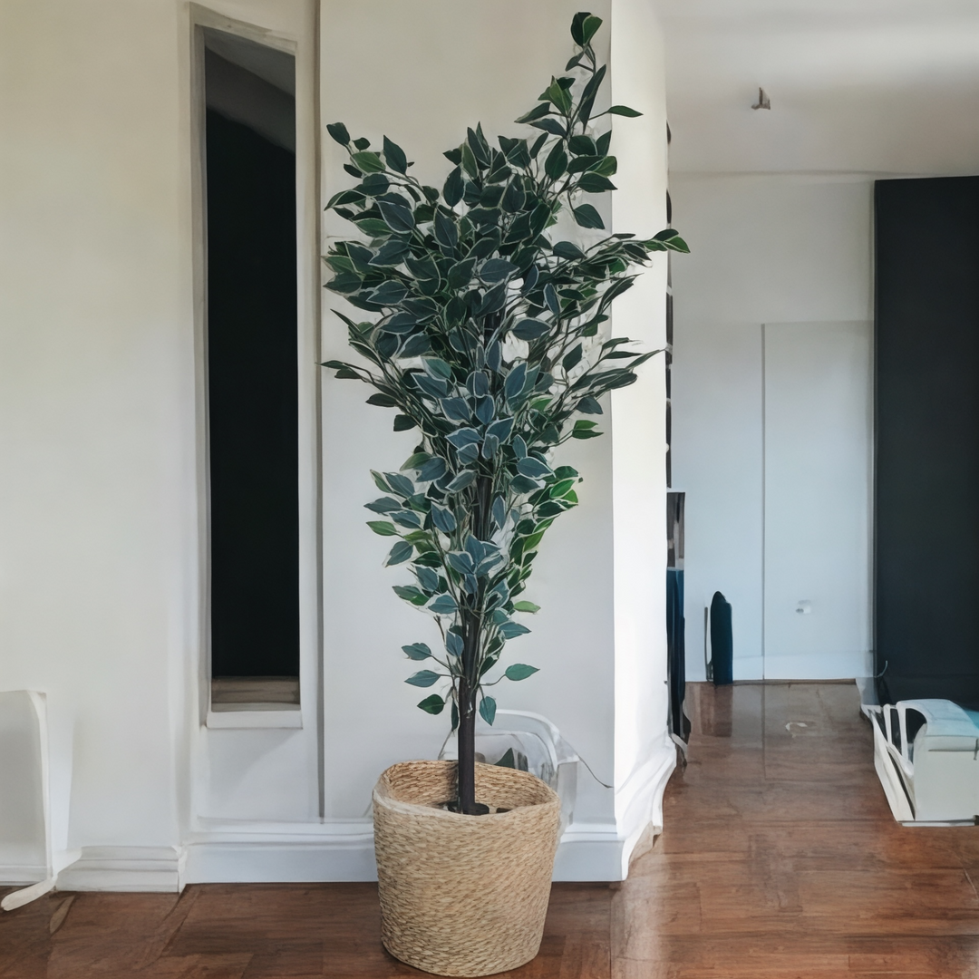 Ficus Variegated Artificial Tree in Woven Basket