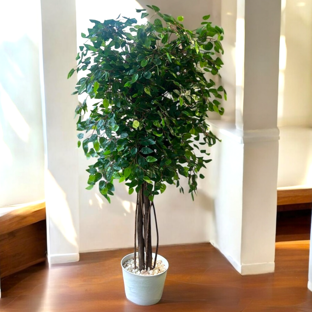 Tall Artificial Ficus Tree in White Pot