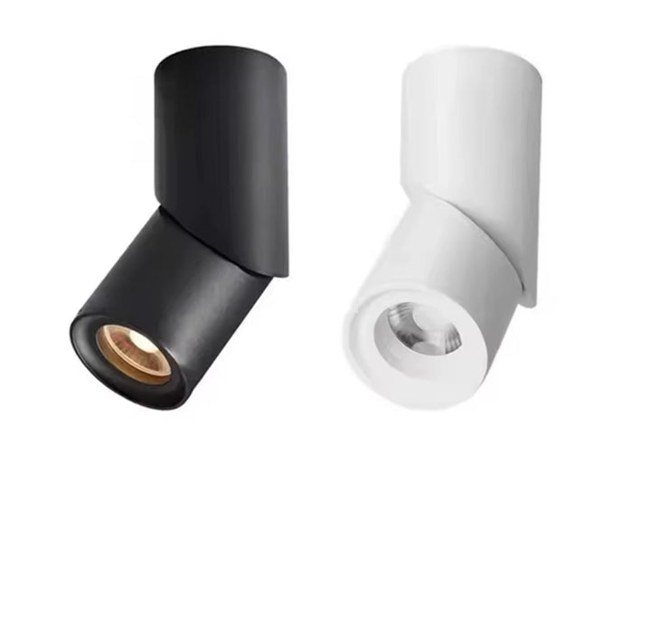 Adjustable Cylinder Ceiling Spotlight