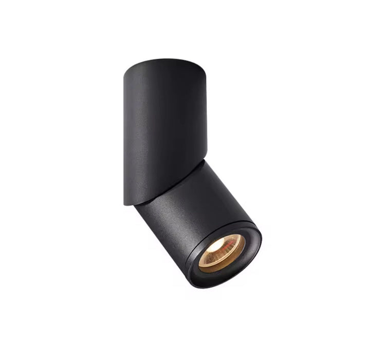 Adjustable Cylinder Ceiling Spotlight