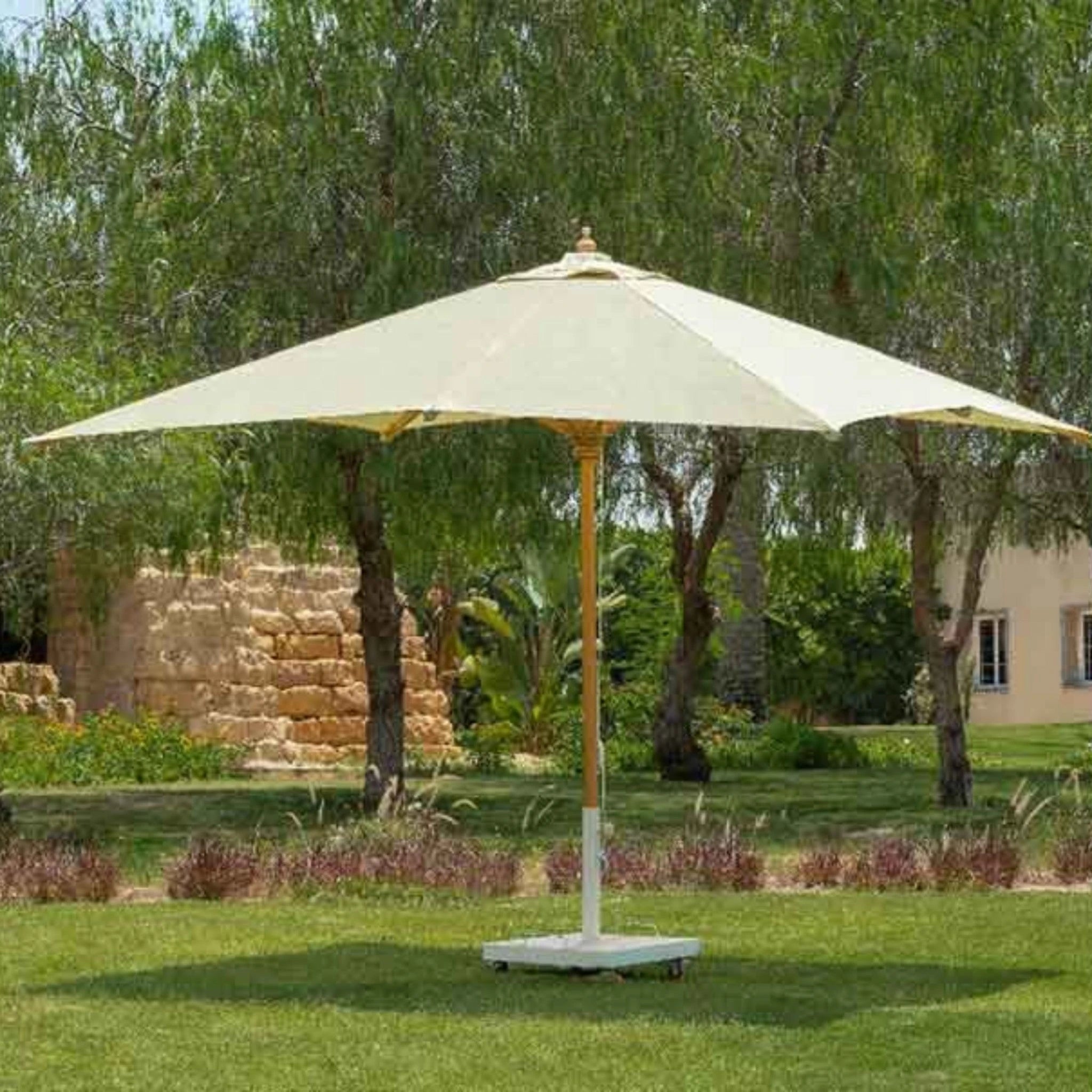 Umbrella