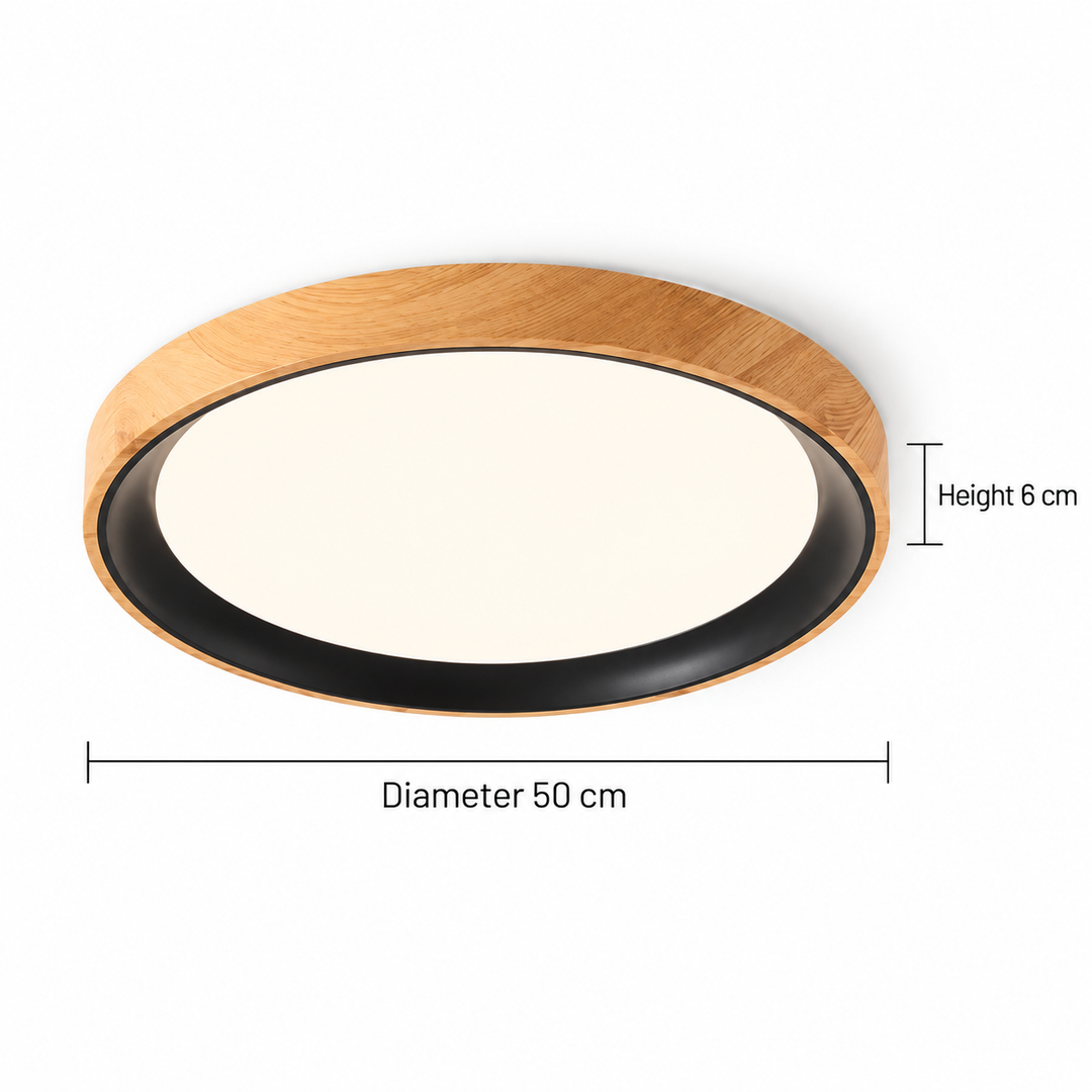 Modern Two-Tone Circular Ceiling Light