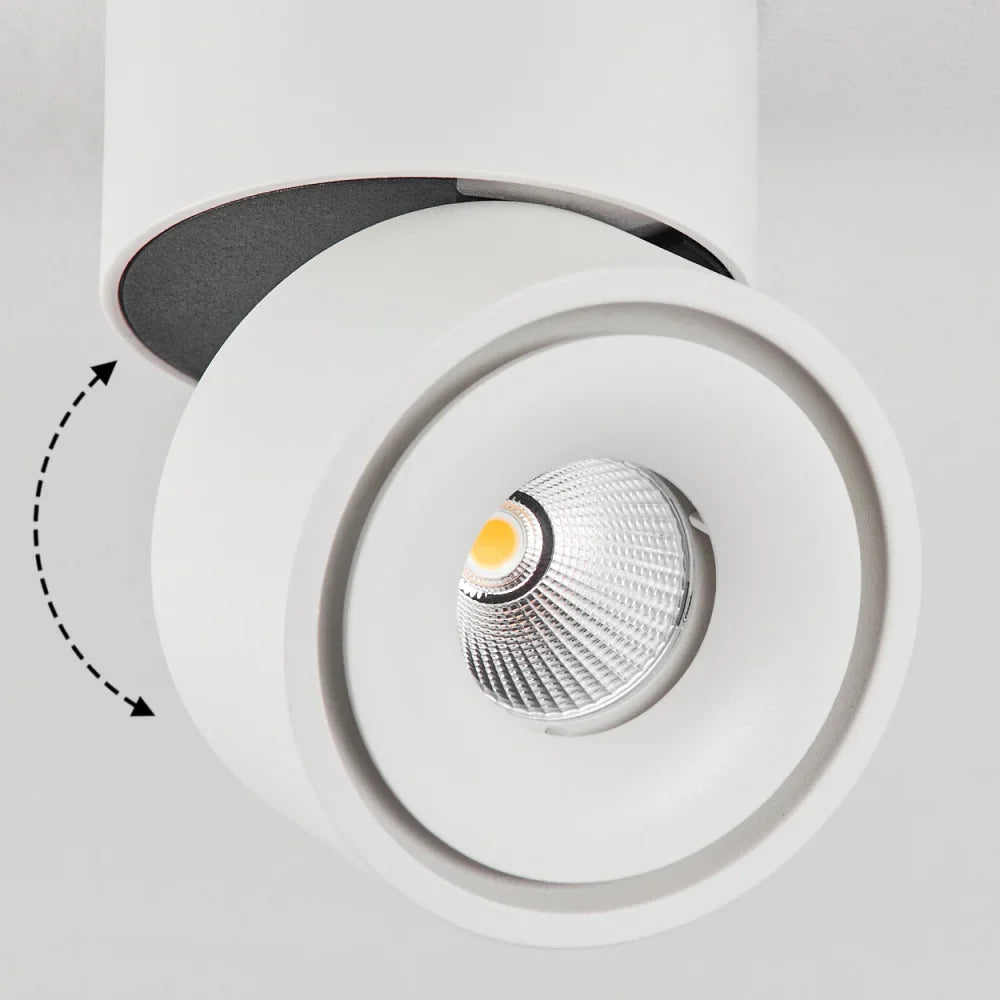 Modern Adjustable LED 20W Ceiling Spotlight