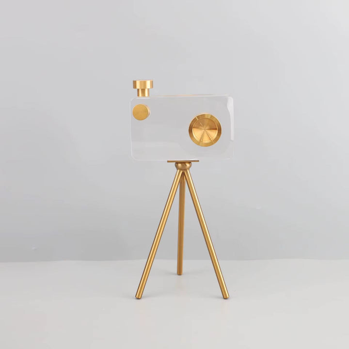 Crystal Camera Sculpture Set of 2