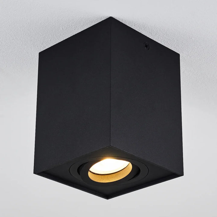 Modern Black Rectangular Ceiling Spotlight