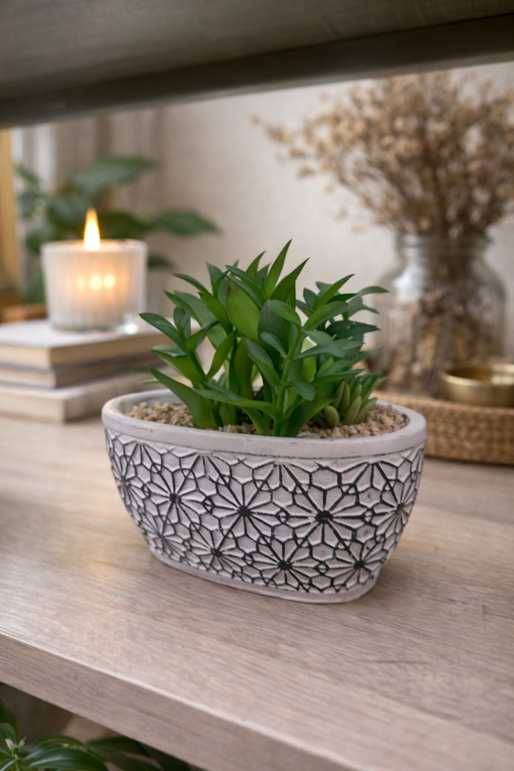 Faux Succulent in Patterned Oval Pot in 3 models