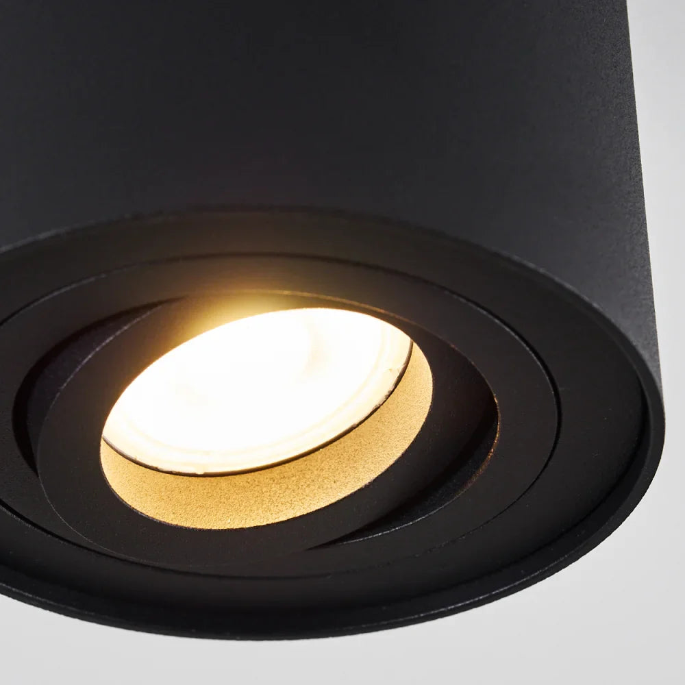 Modern Adjustable Black Cylinder Ceiling Spotlight