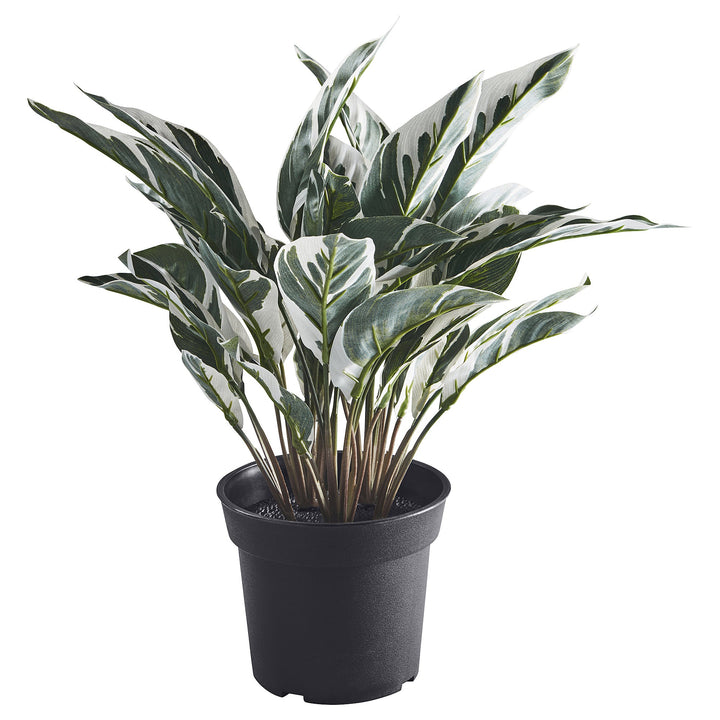 Artificial Variegated Calathea Plant