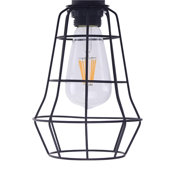 Industrial Ceiling Light with Black Wire Cage