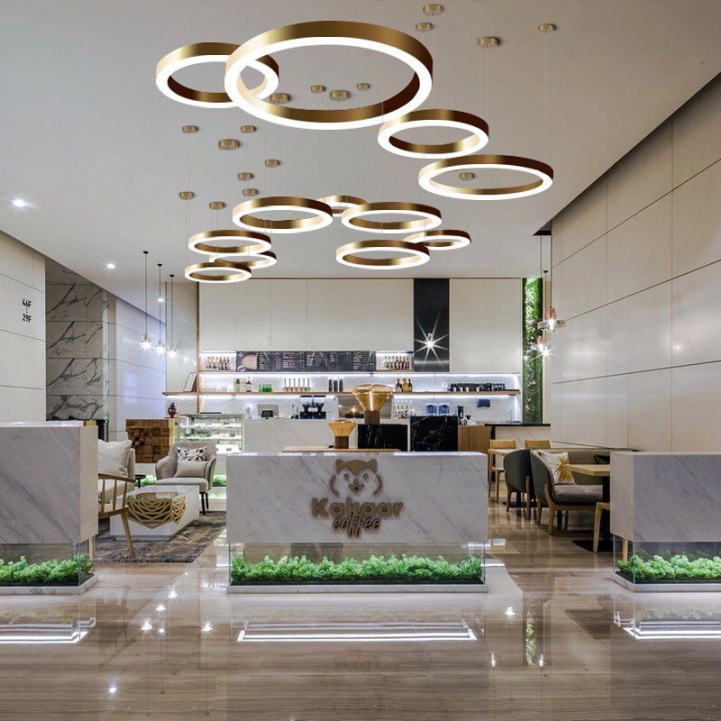 Modern Gold Circular LED Ceiling Light