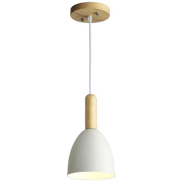 Colorful Modern Pendant Lights with Wooden Accents