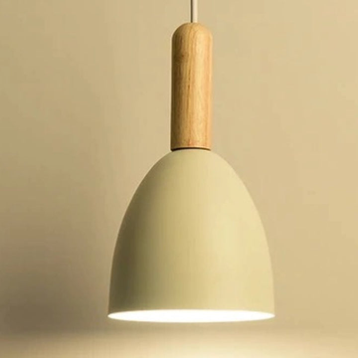 Colorful Modern Pendant Lights with Wooden Accents