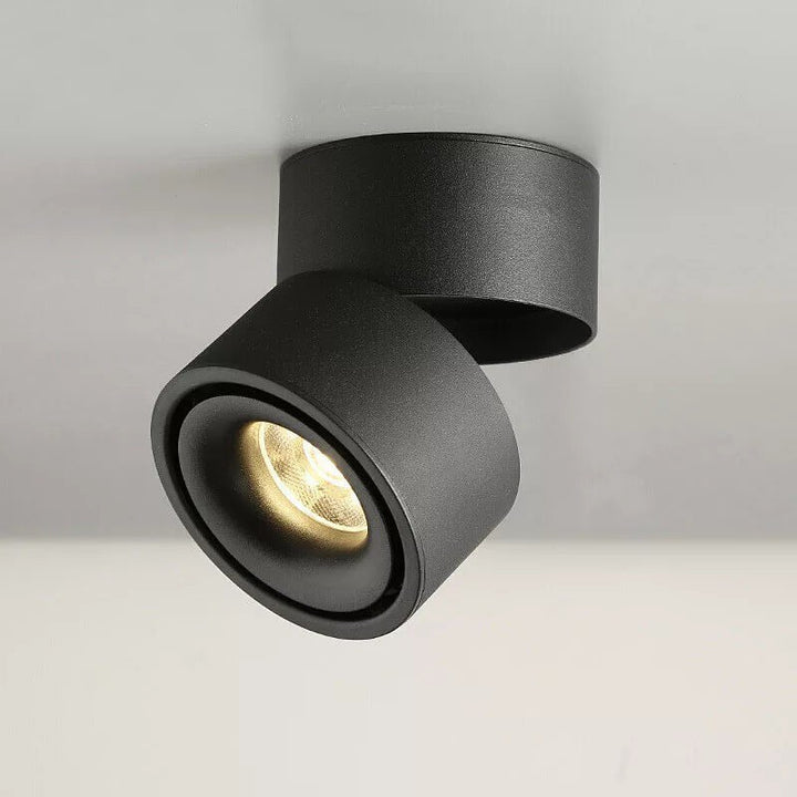 Modern Adjustable Black Ceiling Spotlight