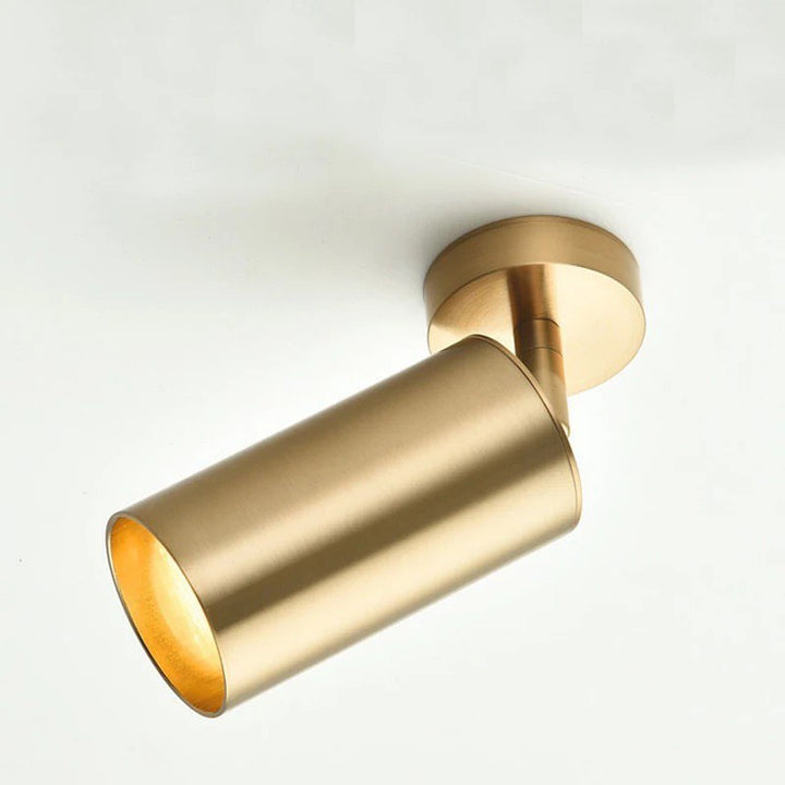 Modern Adjustable Gold Ceiling Spotlight