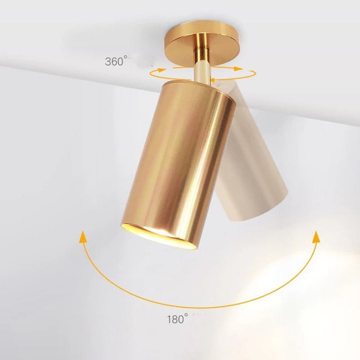 Modern Adjustable Gold Ceiling Spotlight