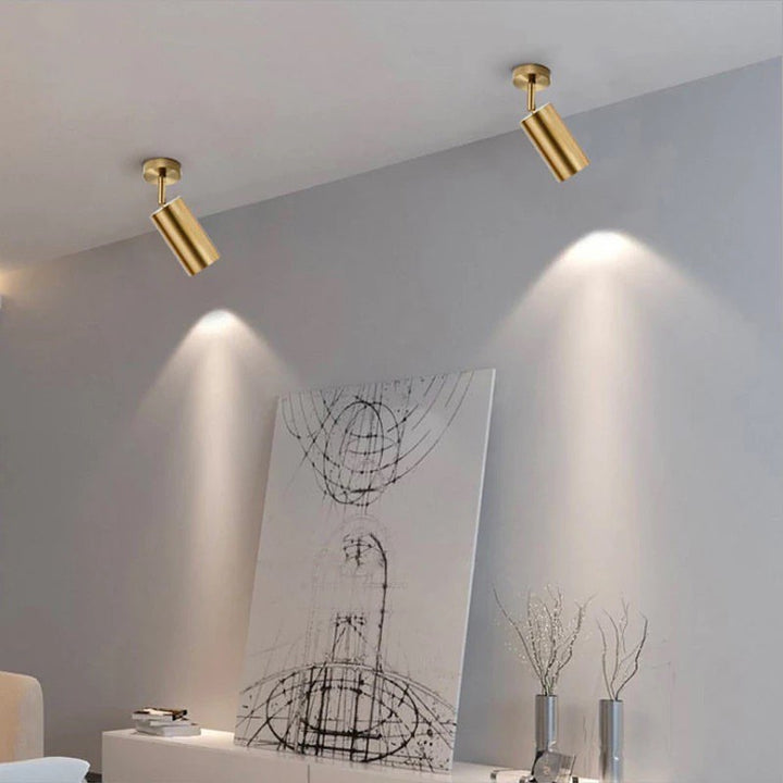 Modern Adjustable Gold Ceiling Spotlight