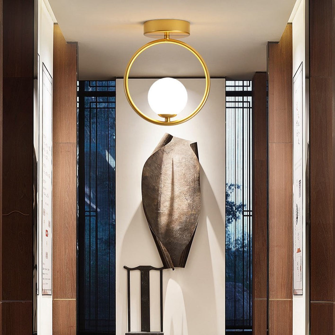 Modern Ceiling Light with Circular Frame