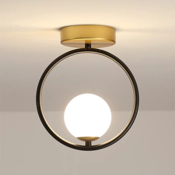 Modern Ceiling Light with Circular Frame