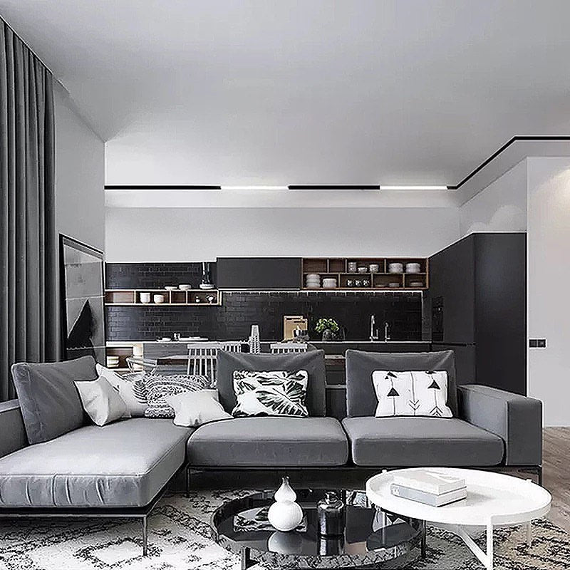 MAGNETIC Track Spotlight & All Accessories