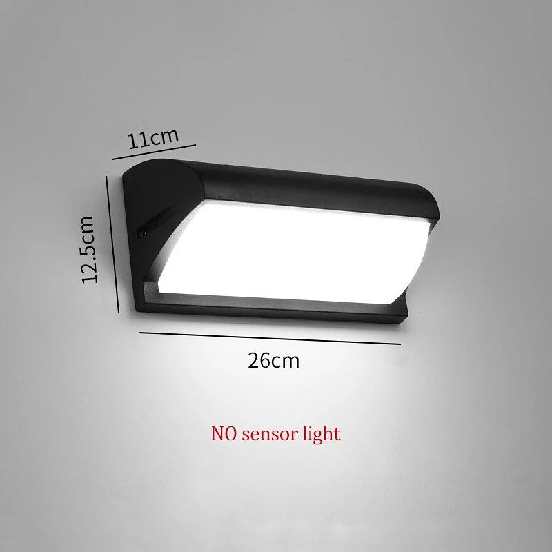 Moder LED Outdoor Wall Light with Black Finish