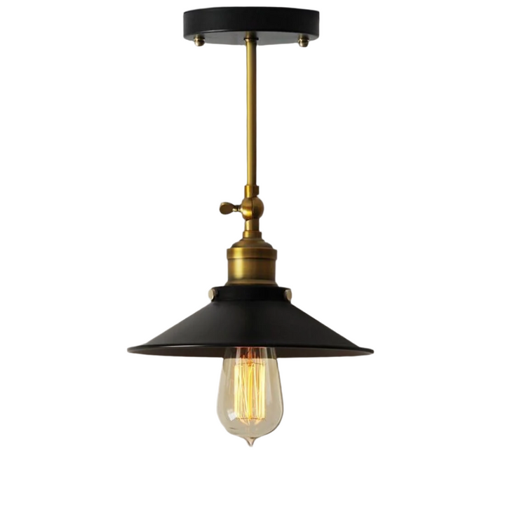 Industrial Pendant Light with Black and Brass Finish