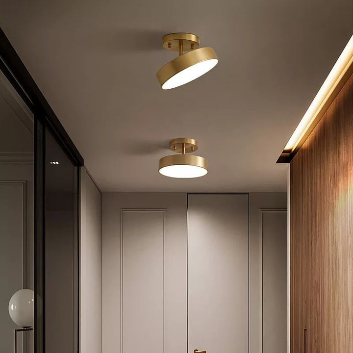 Modern Ceiling Spotlight