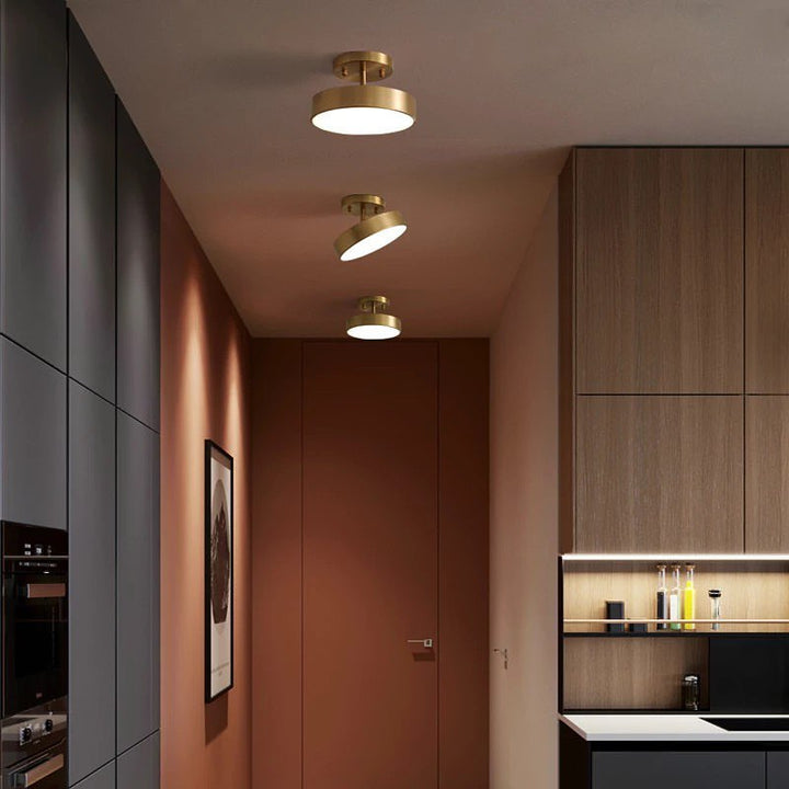 Modern Ceiling Spotlight