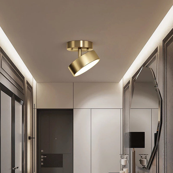 Modern Ceiling Spotlight