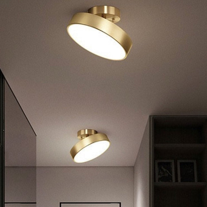 Modern Ceiling Spotlight