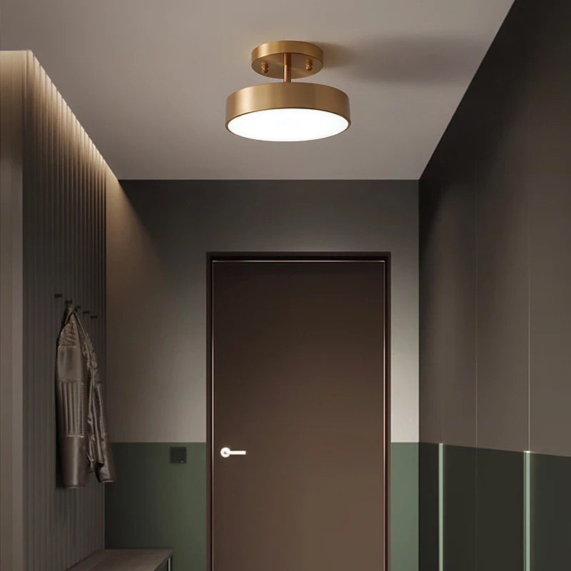 Modern Ceiling Spotlight