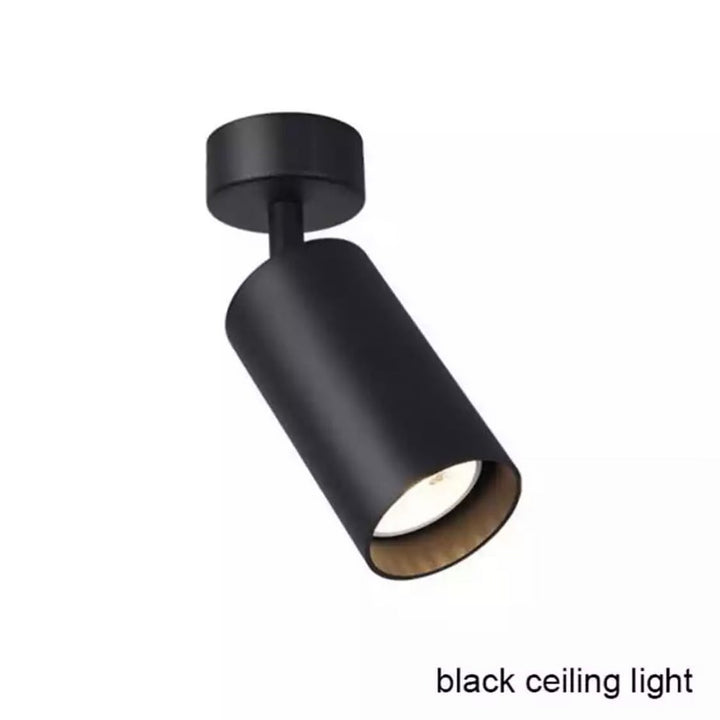 Modern Black Ceiling Spotlight