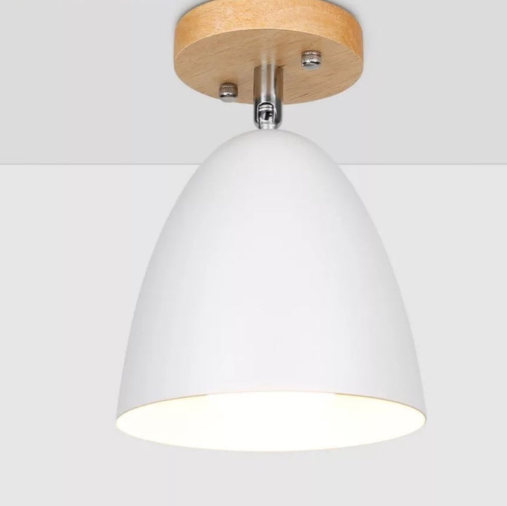 Soft Glow Ceiling Light