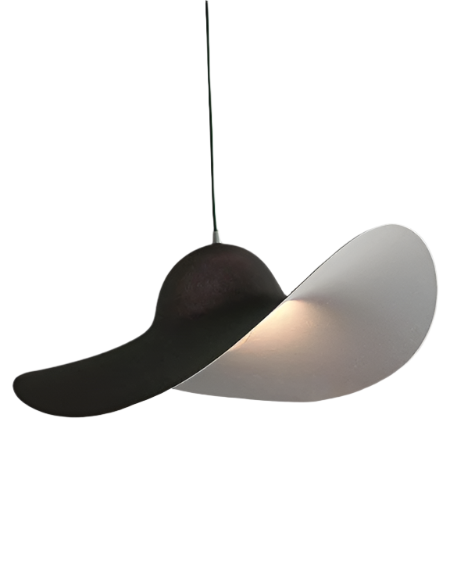 Modern Black and White Curved Pendant Light