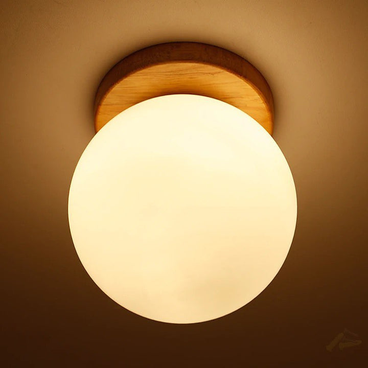 Ceiling Mounted Light