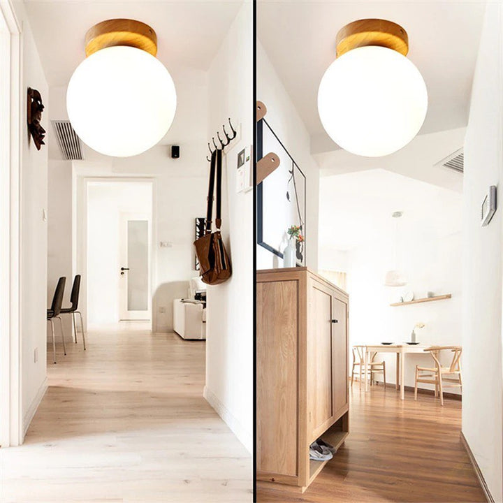 Ceiling Mounted Light