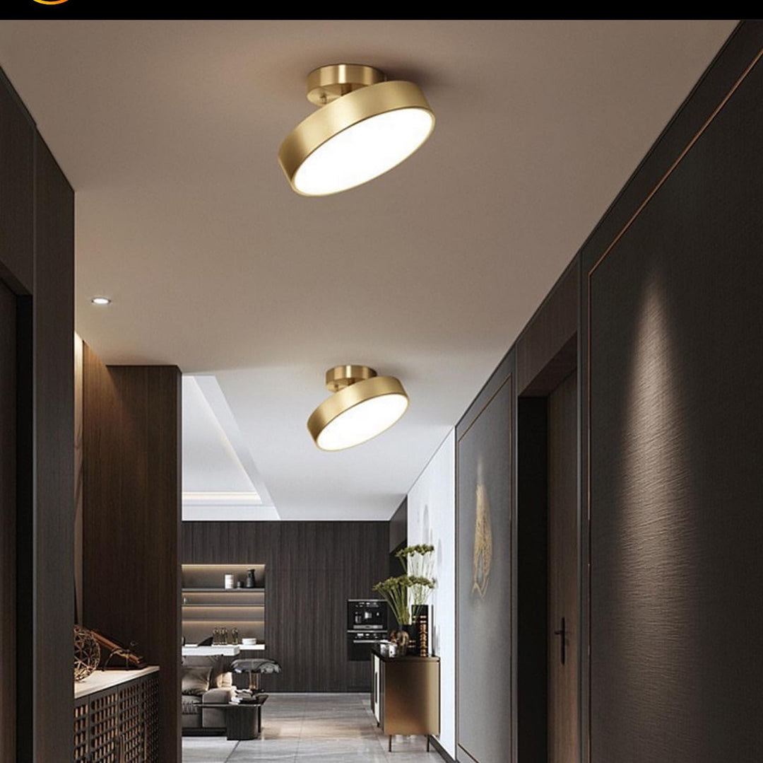 Modern Ceiling Spotlight