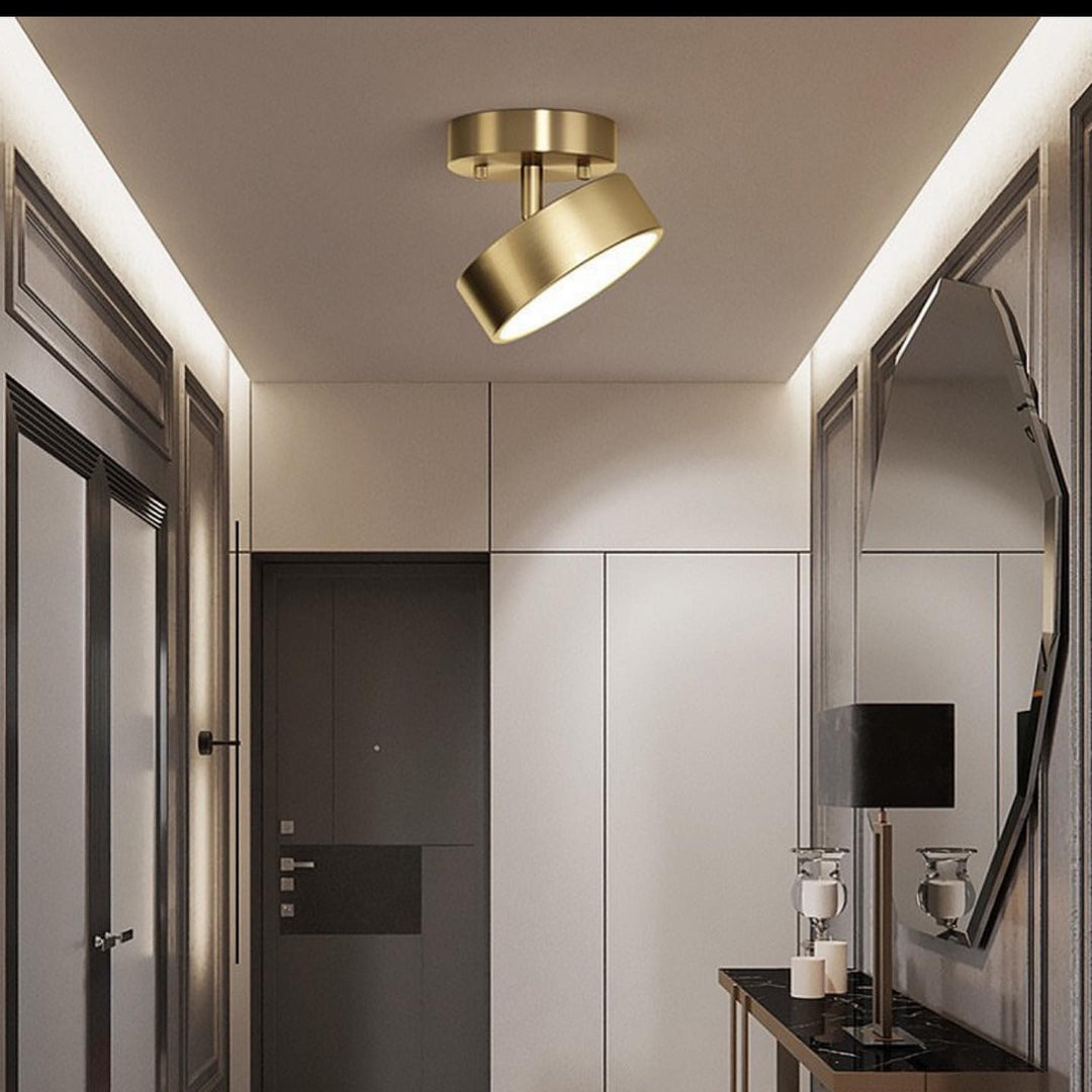 Modern Ceiling Spotlight