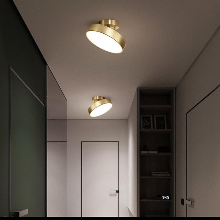 Modern Ceiling Spotlight