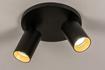 Compact Two-Light Ceiling Fixture