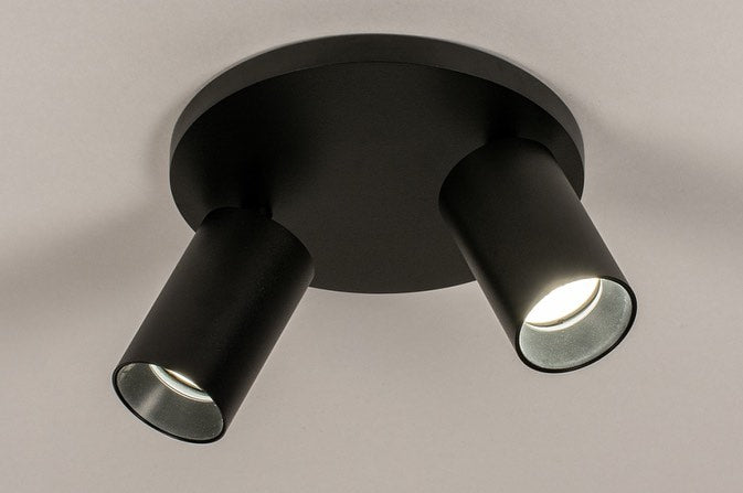 Compact Two-Light Ceiling Fixture