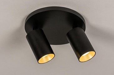 Compact Two-Light Ceiling Fixture