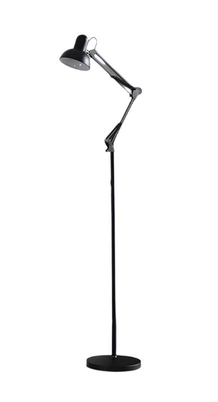 Adjustable Task Floor Lamp with Black Finish