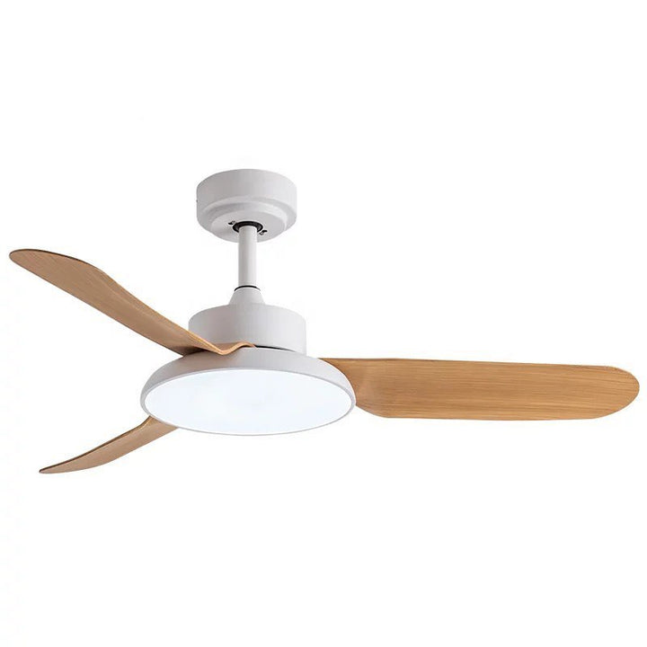 Ceiling Fan with Light