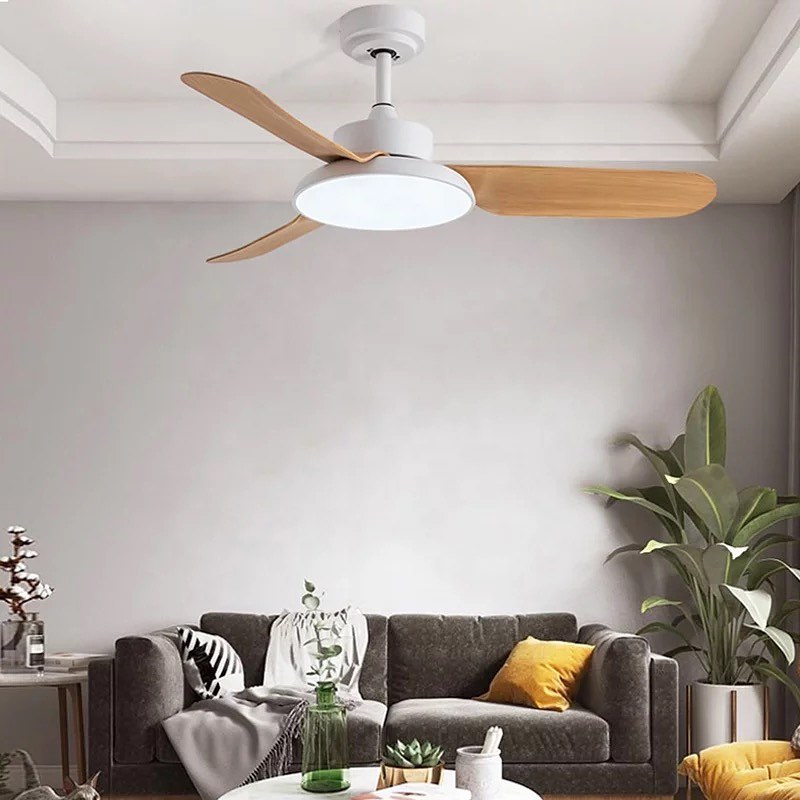 Ceiling Fan with Light