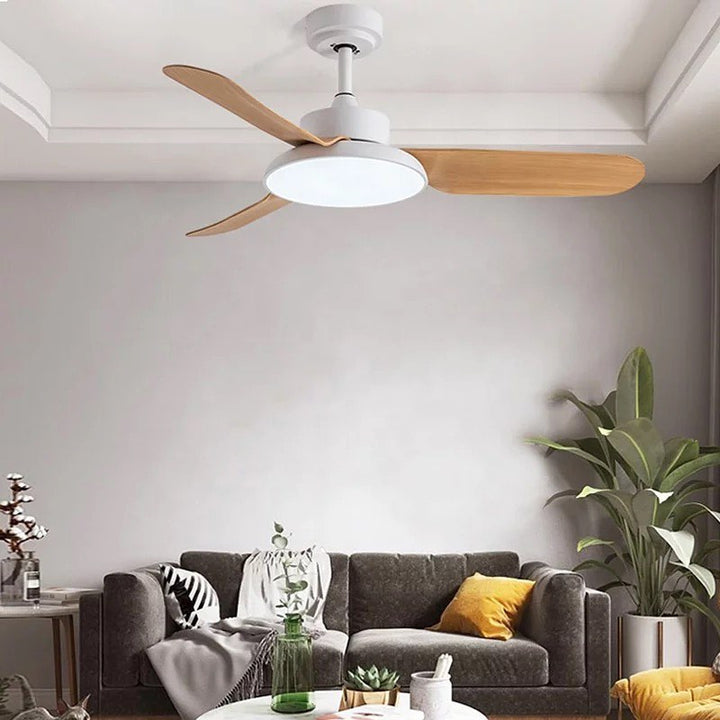 Ceiling Fan with Light