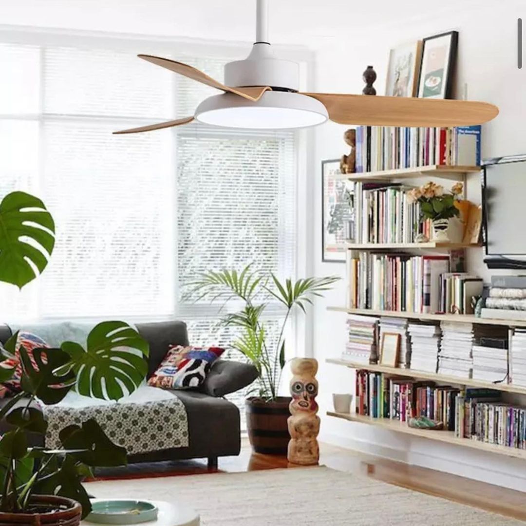 Ceiling Fan with Light
